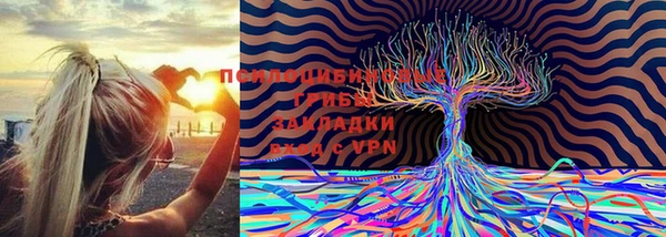 мдпв Аркадак