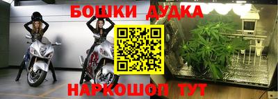 ГАЛЛЮЦИНОГЕННЫЕ ГРИБЫ Старая Купавна
