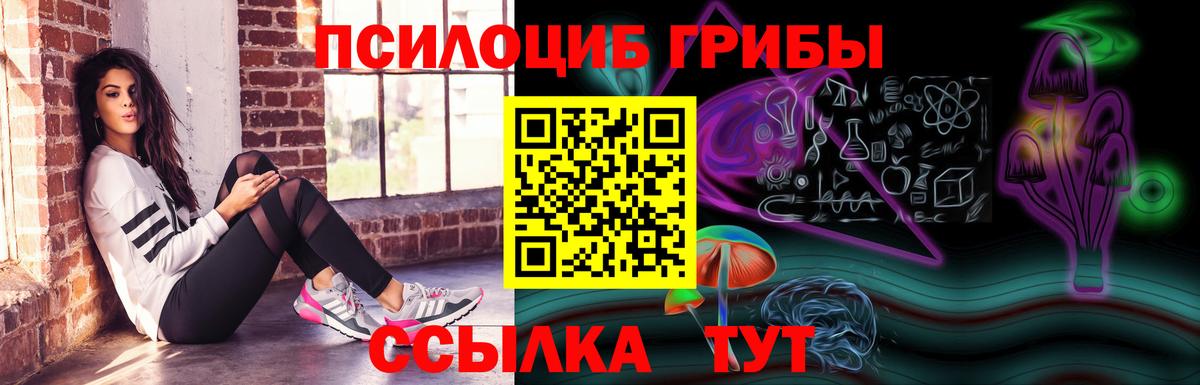 Чернушка  Галлюциногенные грибы мицелий  Галлюциногенные грибы GOLDEN TEACHER  Вход с VPN 