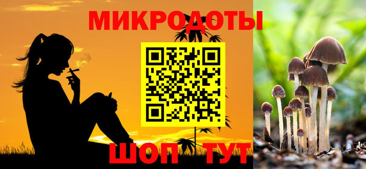 Псилоцибиновые грибы прущие грибы Чернушка